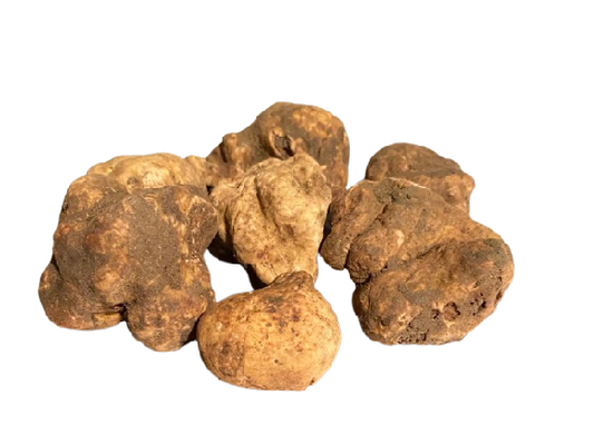 Tartufo bianco pregiato