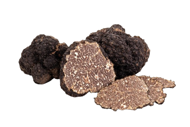 Black truffle from Bagnoli Irpino - mesentericum