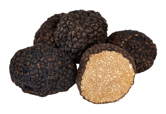 Tartufo nero Uncinato
